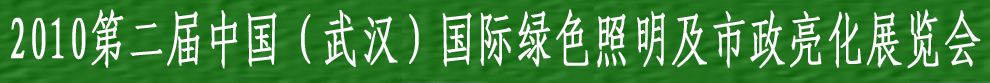 2010第二屆中國(武漢)國際綠色照明及市政亮化展覽會(huì)